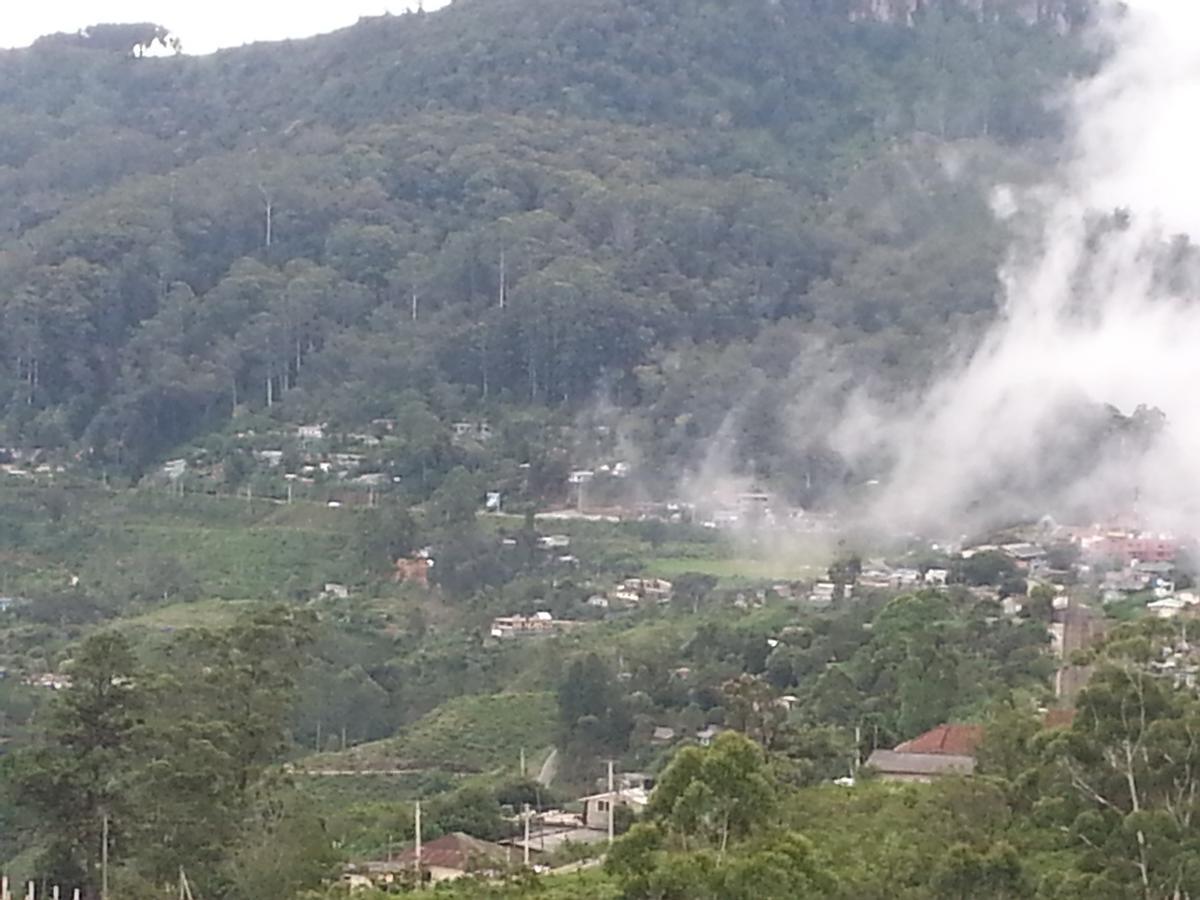 Olive Hill Top Hotel 哈普特莱 外观 照片