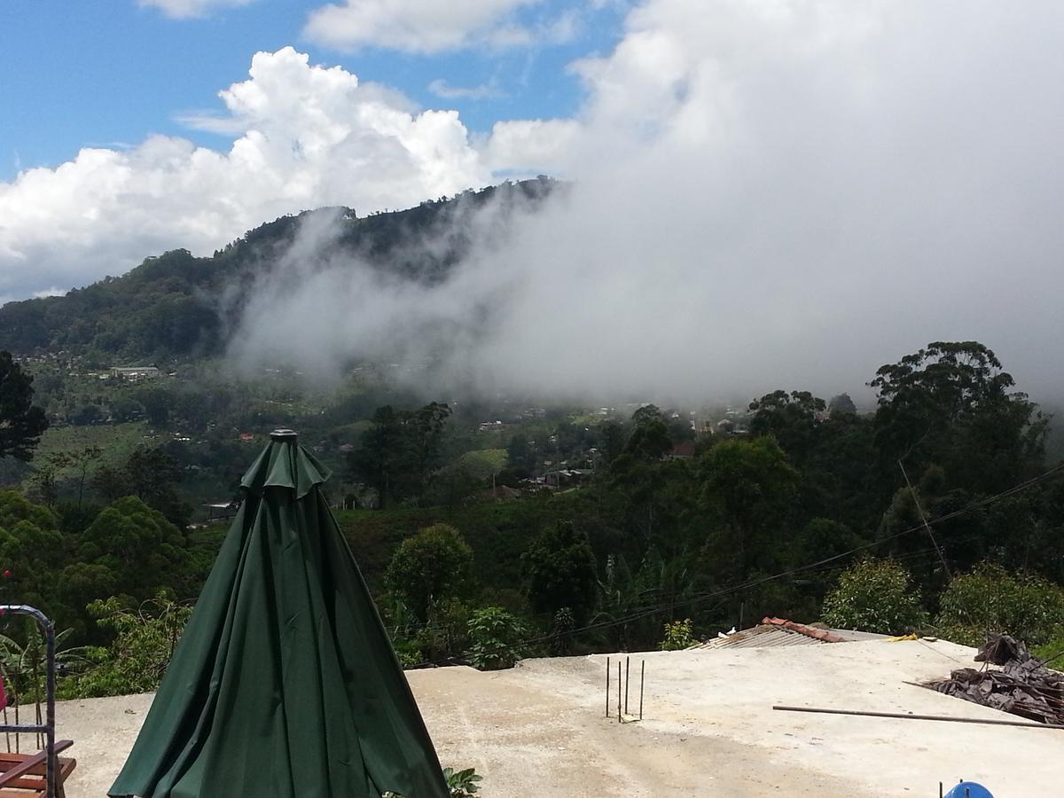Olive Hill Top Hotel 哈普特莱 外观 照片